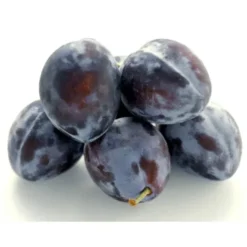 Prune Violette Bio