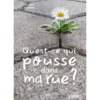 Qu'est-ce qui pousse dans ma rue ?