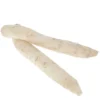 Radis Blanc Daïkon Bio
