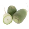 Radis Green Meat Bio