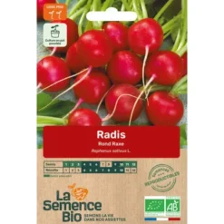 Radis Rond Raxesemence 3,5g