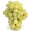 Raisin de table Blanc Gros Vert Bio
