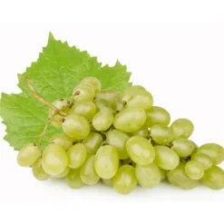 Raisin de table Blanc Ora Bio