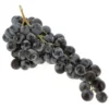 Raisin de table Noir Muscat Bio