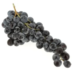 Raisin de table Noir Muscat Bio