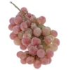Raisin de table Noir Red Globe Bio