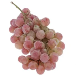 Raisin de table Noir Red Globe Bio