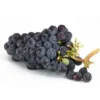 Raisin de table Noir Ribol Bio