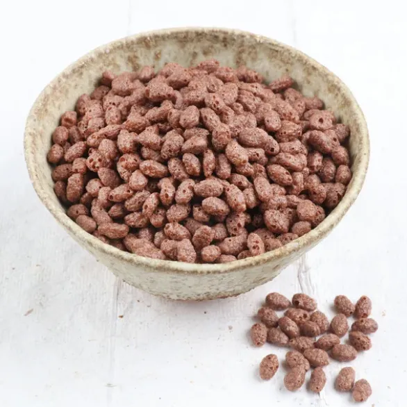 Riz soufflé céréales chocolat Bio