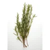 Romarin botte Bio