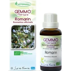 Romarin (Rosmarinus officinalis)