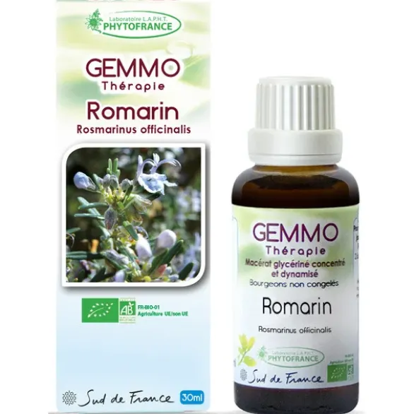 Romarin (Rosmarinus officinalis)