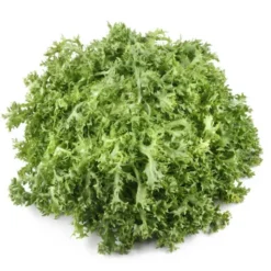 Salade Frisée (pièce) Bio