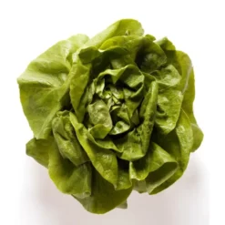 Salade Laitue Blonde (pièce) Bio
