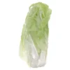 Salade Pain de Sucre (pièce) Bio