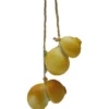 Scamorza fumée au lait cru 25%MG
