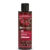 Shampooing démêlant couleur fix 200ml