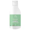 Shampooing menthe cheveux gras 250ml