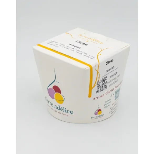 Sorbet citron 310g