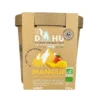 Sorbet mangue 450g