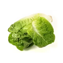 Sucrine (pièce) Bio