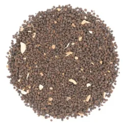 Thé noir masala chaï Bio