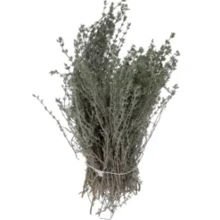 Thym Frais Bio