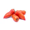 Tomate Allongée Bio
