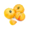 Tomate ancienne véritable Ananas Bio
