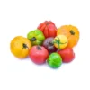 Tomate ancienne véritable Panachée Pop Bio