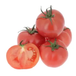 Tomate ancienne véritable Ronde Rose de Berne Bio