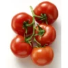 Tomate ancienne véritable Saint Pierre Bio