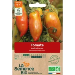 Tomate Andine Cornuesemence 0,1g