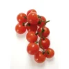 Tomate Cerise Grappe Ronde Vrac Rouge Bio