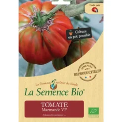 Tomate Marmandesemence 0,11g