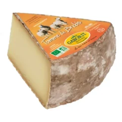 Tomme brebis lait pasteurisé 33% MG