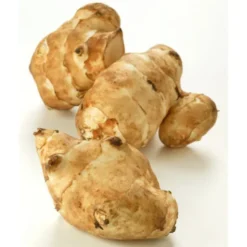 Topinambour Bio