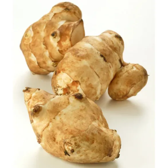 Topinambour Bio