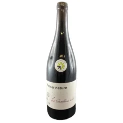 Vin de France Penser Grolleau SSAJ 75cl